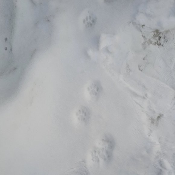 Meet your Posher! - Picture 1 of 1